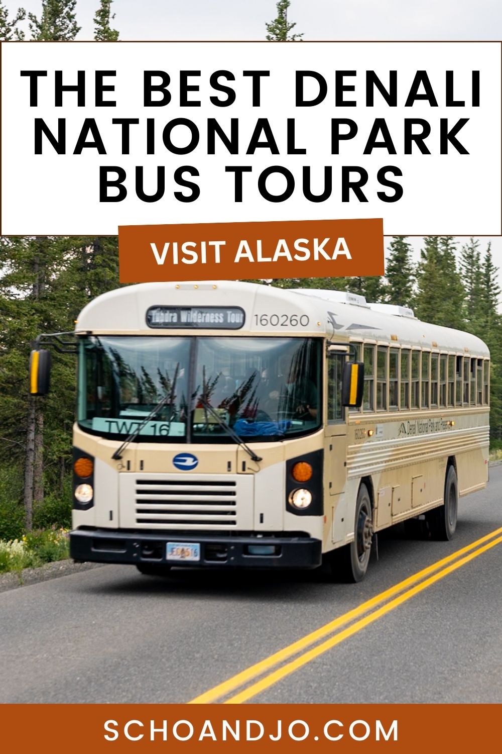 Denali National Park Buses: Everything You Need to Know