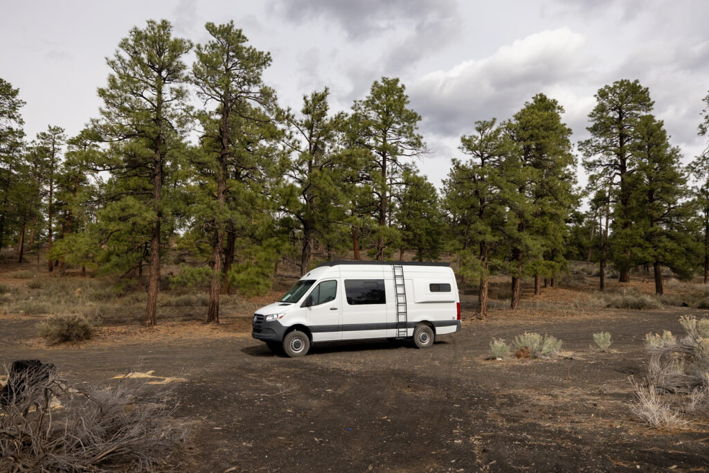 White campervan parked in a forest clearing surrounded by tall ponderosa pines and desert shrubs in Coconino National Forest