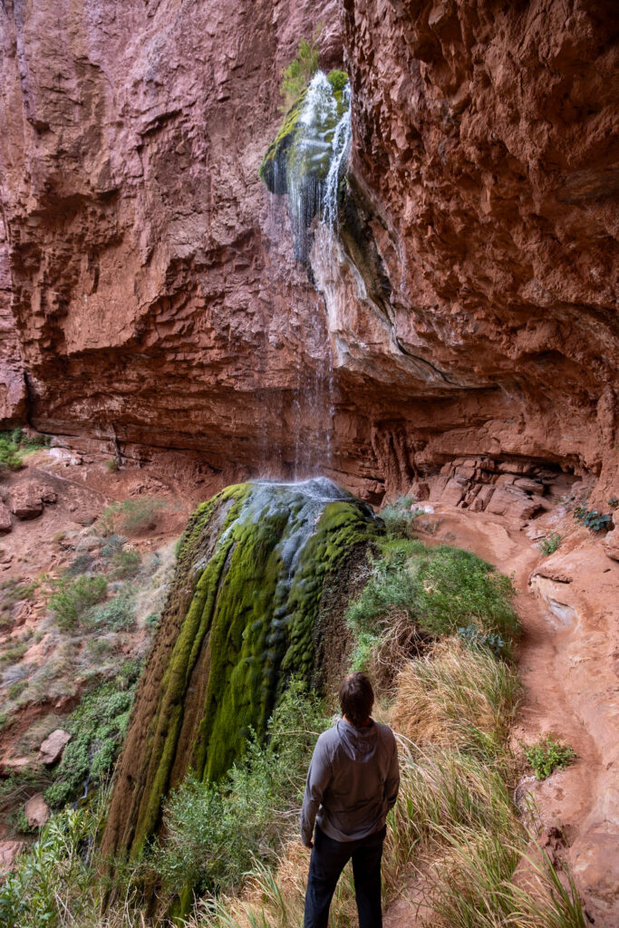 Hiker standing on the North Kaibab Trail facing Ribbon Falls, a waterfall cascading down red rock cliffs with moss-covered rocks below
