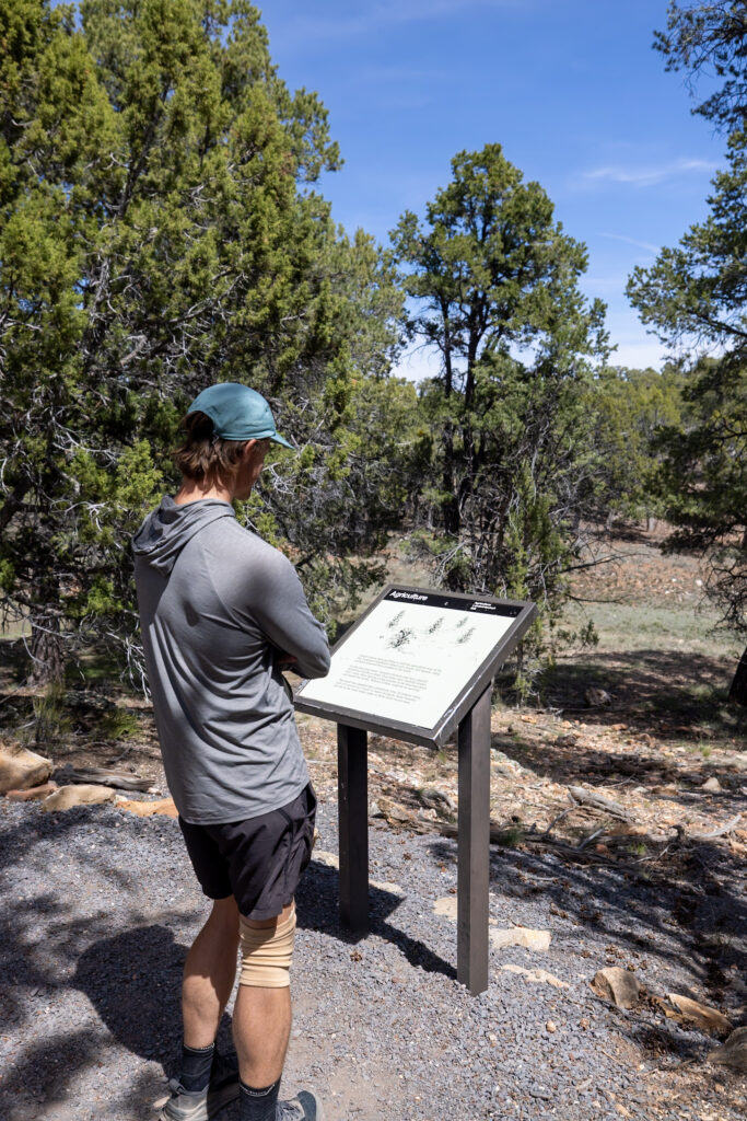 Man in a blue cap reading an interpretive sign at Tusayan Ruins, surrounded by pine forest along Desert View Drive