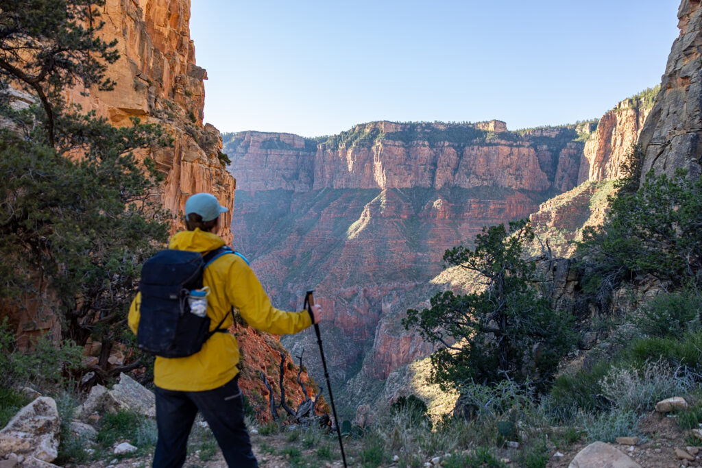 Hiker in yellow jacket and blue backpack standing at Coconino Saddle on Grandview Trail, overlooking Hance Creek Valley and layered canyon walls with forested ridges