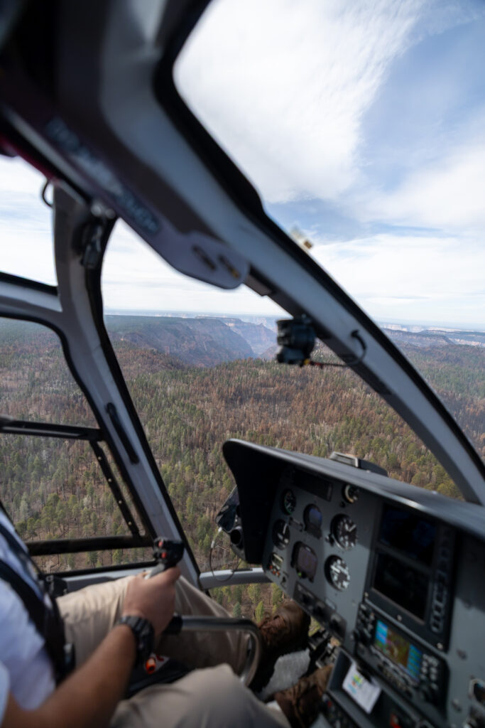 Pilot in helicopter cockpit flying over forested Grand Canyon landscape with canyon visible in distance