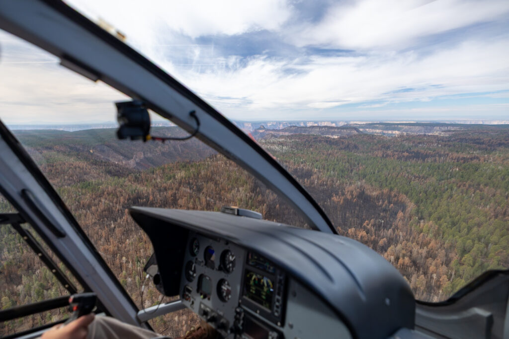 View from inside a helicopter cockpit showing forested landscape with some burn areas below, with the Grand Canyon visible in the distance on the horizon