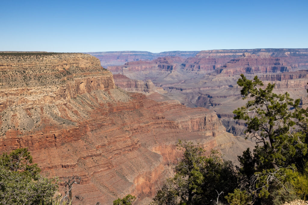 Expansive view of the Grand Canyon's layered red rock formations and distant plateaus under clear blue sky, with desert vegetation in the foreground.