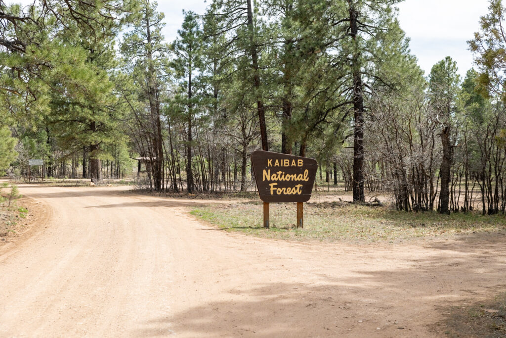 Kaibab National Forest entrance sign on a dirt road surrounded by ponderosa pines on the east side of Grand Canyon National Park