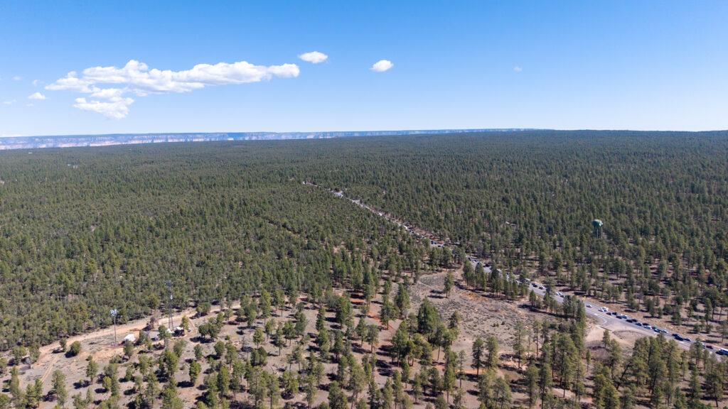 Aerial view of the Grand Canyon entrance area with forested landscape, parking areas, and the canyon rim visible in the distance under a blue sky with white clouds
