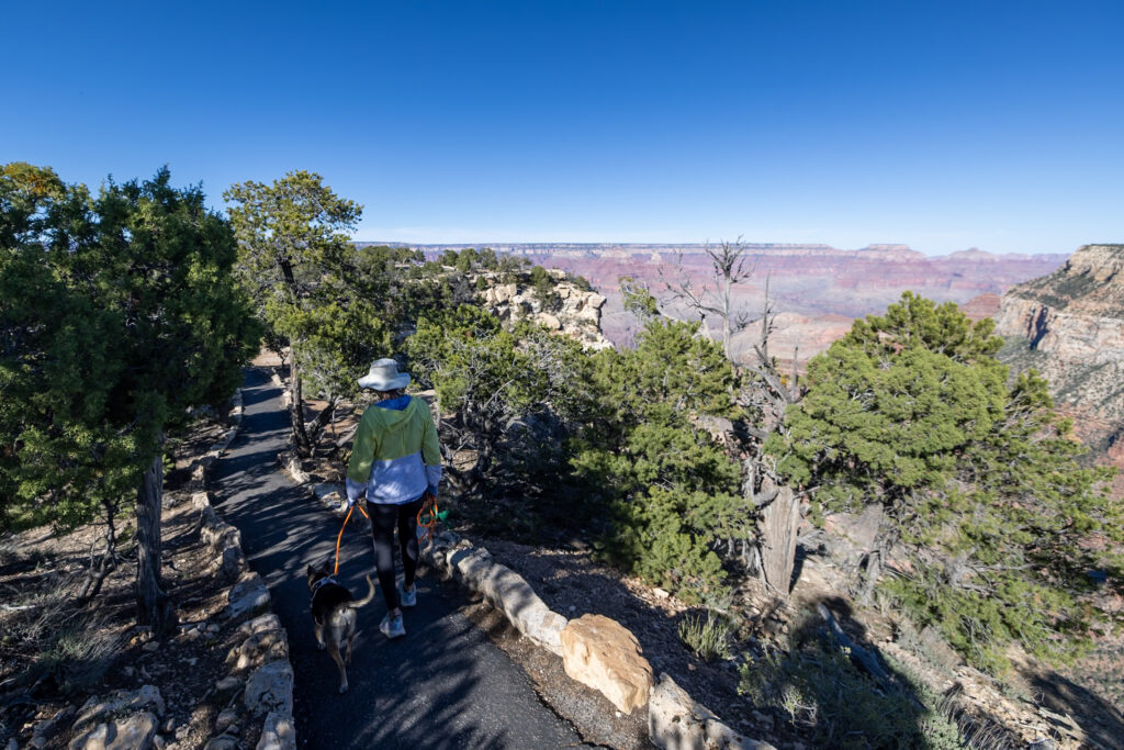 Two hikers walking on a shaded trail lined with evergreen trees, with expansive layered canyon views and blue sky in the background