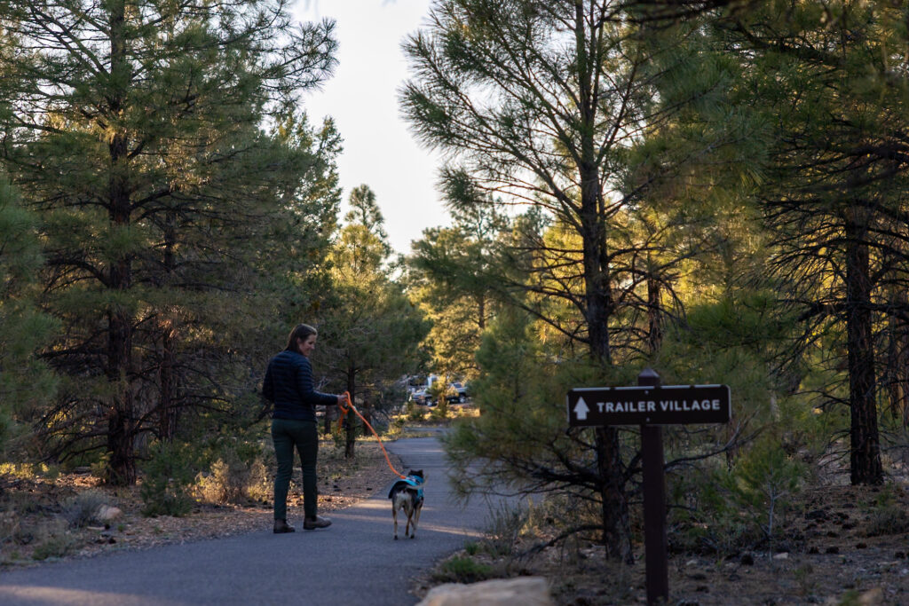 Jen and Ollie walking on a paved path through Trailer Village campground surrounded by pine trees, with the Trailer Village sign visible