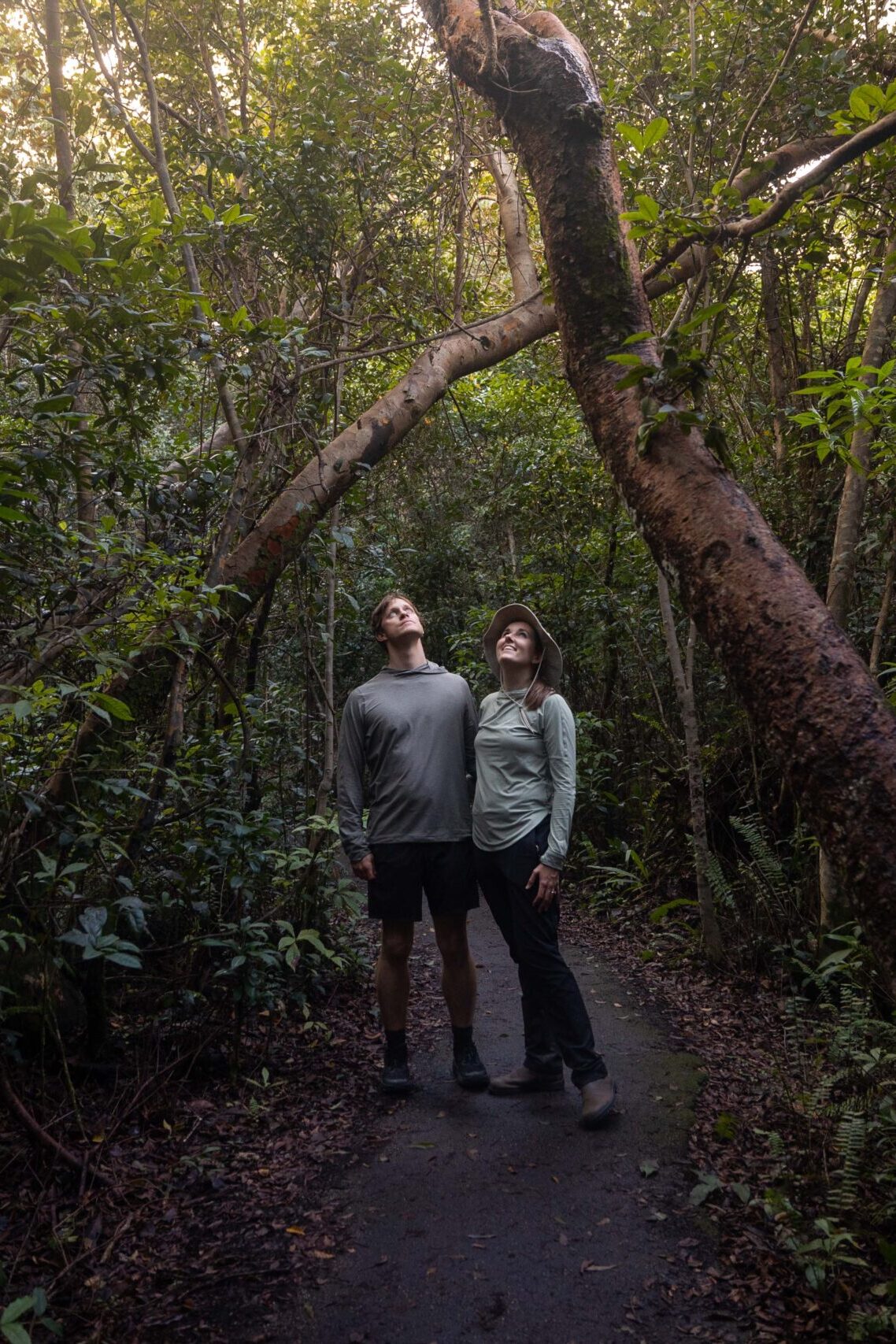Two hikers standing on a shaded trail beneath a large gumbo-limbo tree with moss-covered branches, surrounded by dense hardwood hammock vegetation in Royal Palm area of Everglades National Park