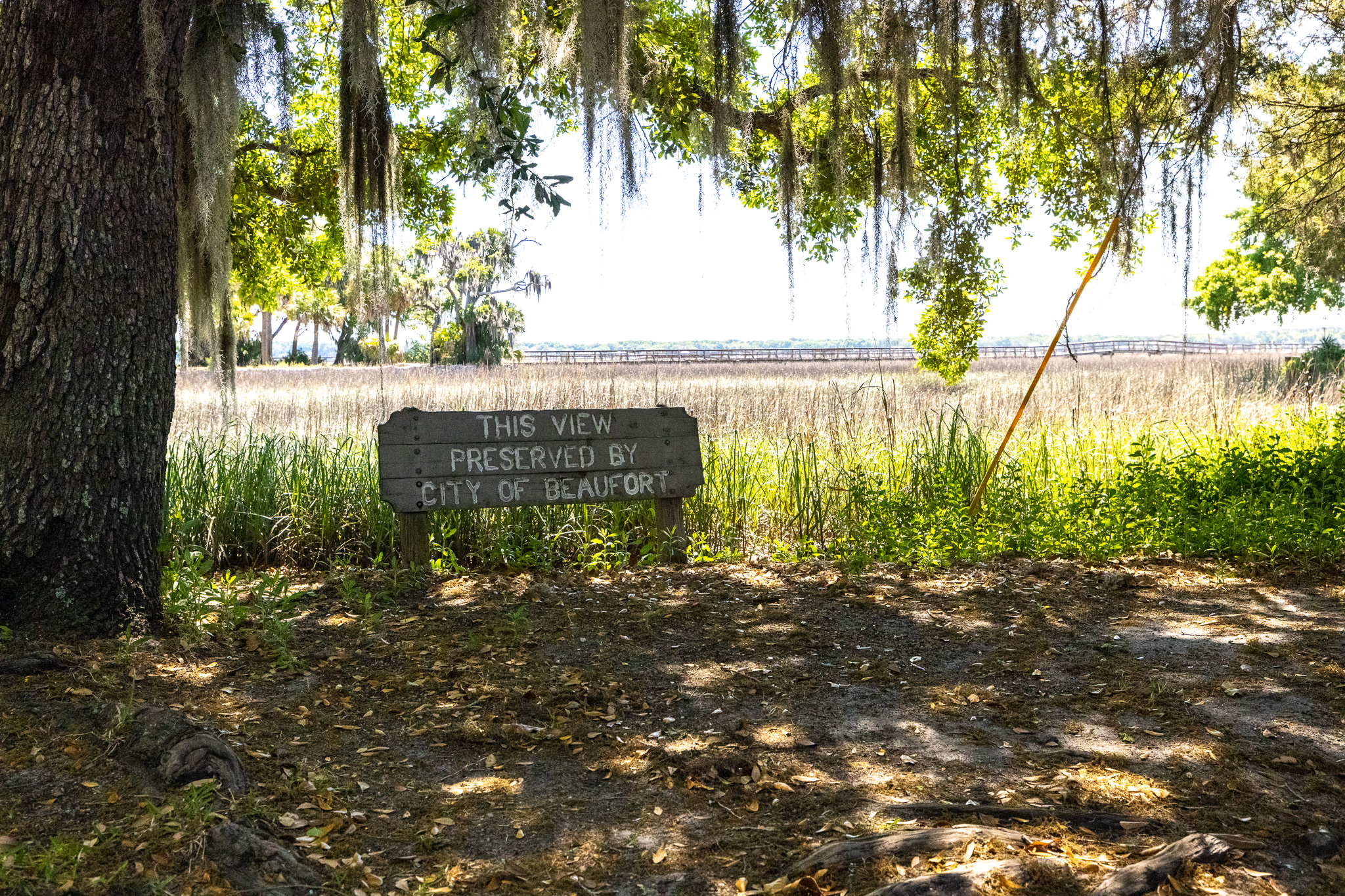 Exploring Beaufort, South Carolina