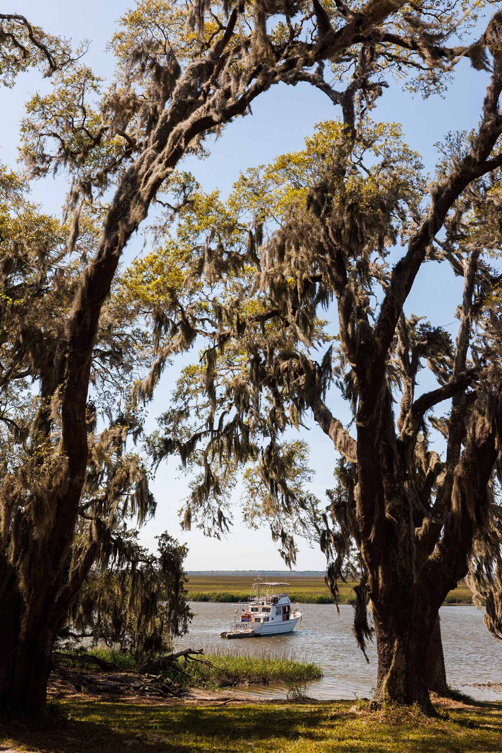 Cumberland Island, GA
