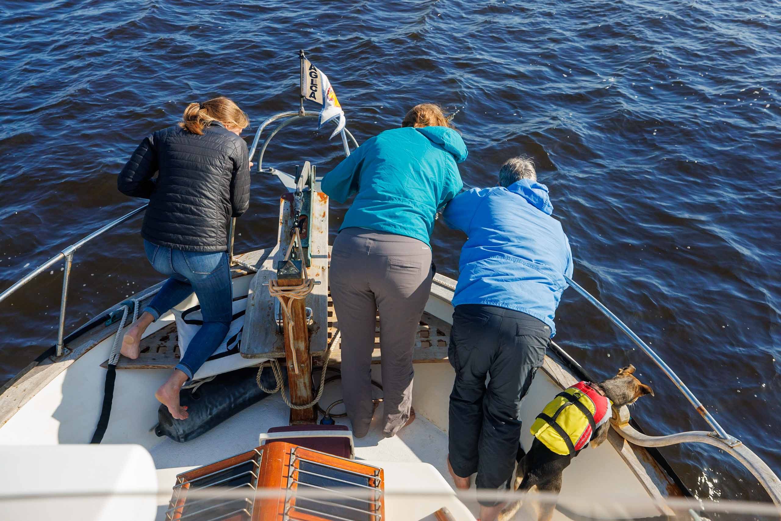 Cruising with dolphins on the Georgia ICW (Cumberland Island to St. Marys)