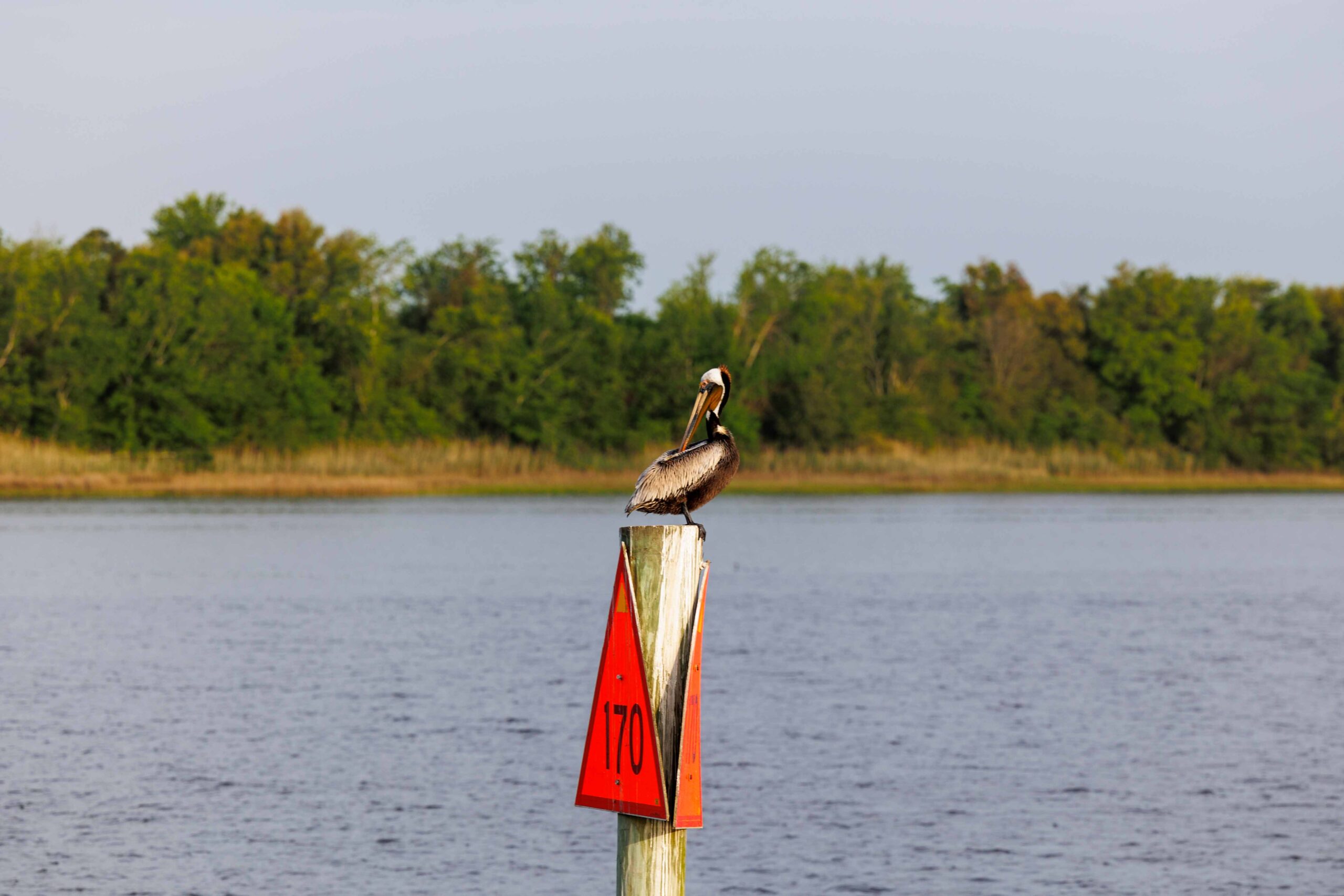 Choosing our perfect weather window to cruise Cape Fear to Carolina Beach