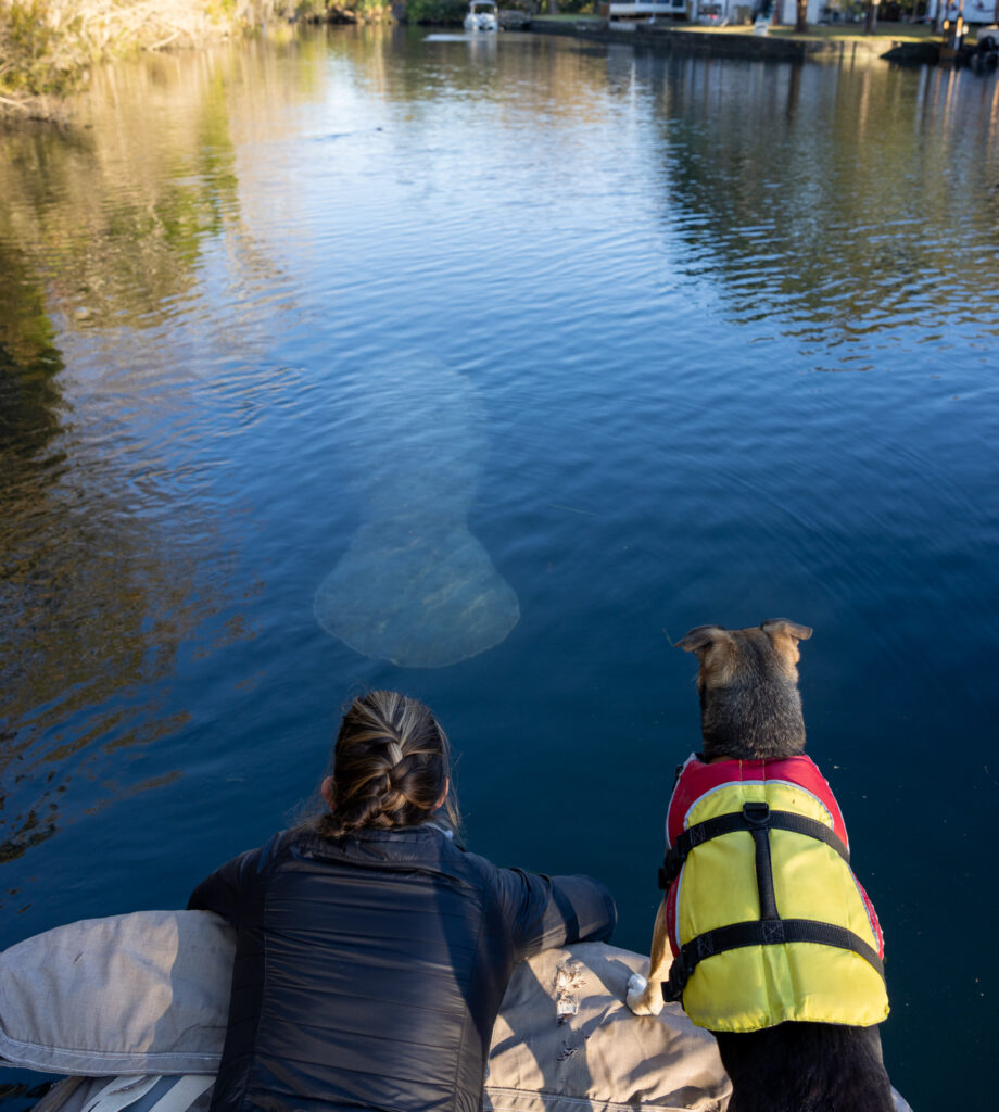 Taking our dingy to see the Manatees in Crystal River