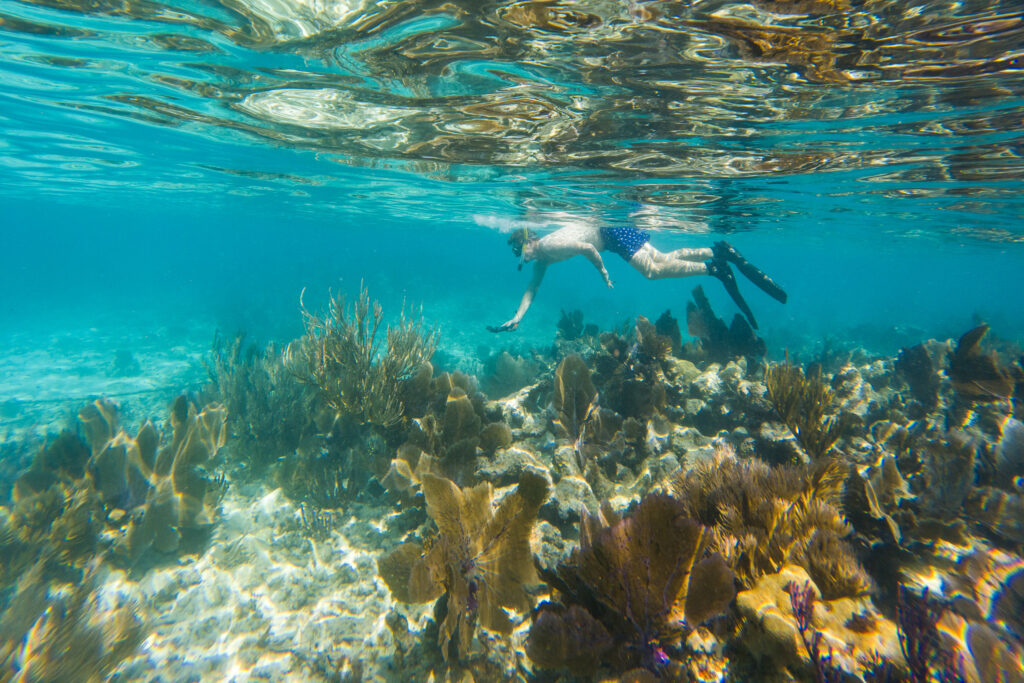Elliott snorkeling, one of the many fun adventures you can have while living on a boat