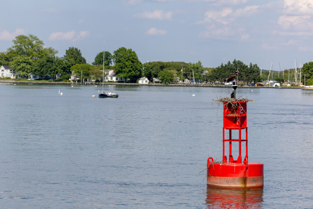 buoy in front of mooring field outside of Oxford