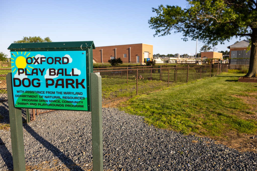 dog park at Oxford