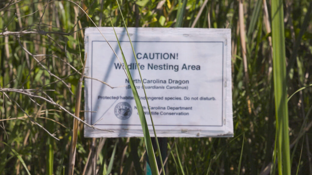 dragon sign oriental nc