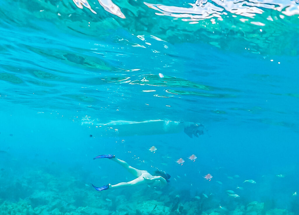 Woman snorkeling in Florida with striped fish swimming all around her.