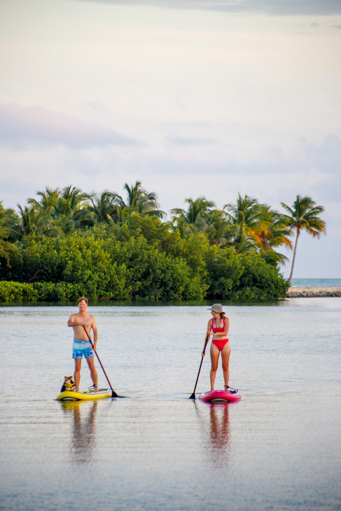 The Best Kayaking and Paddleboarding in the Florida Keys: Tours, Spots ...