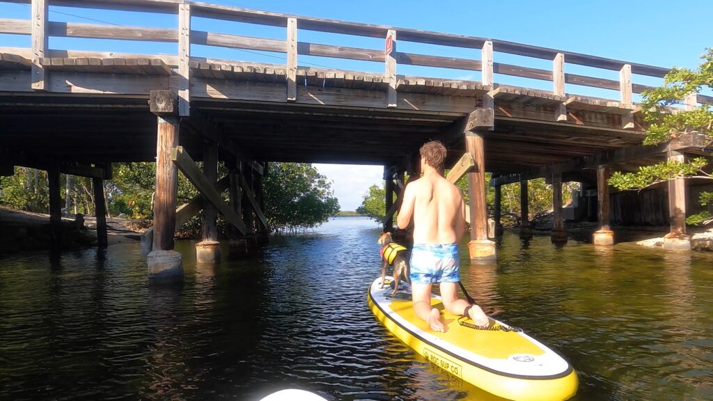 Elliot on a SUP going under a bridge in John Pennekamp State Park, Florida.