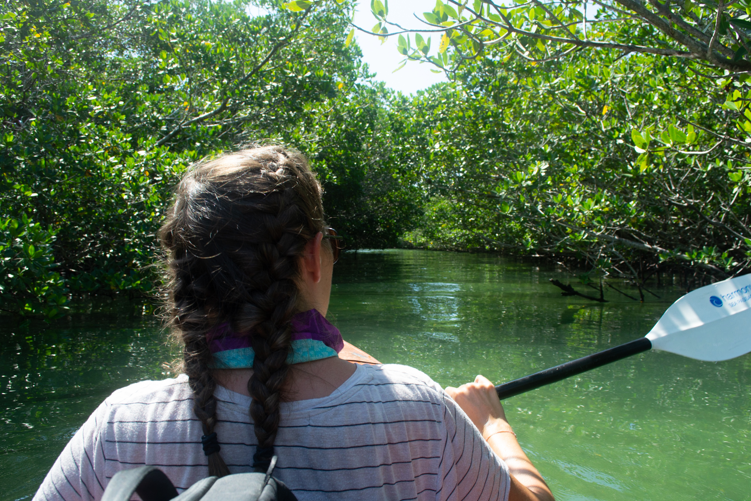 The Best Kayaking and Paddleboarding in the Florida Keys: Tours, Spots, and More!