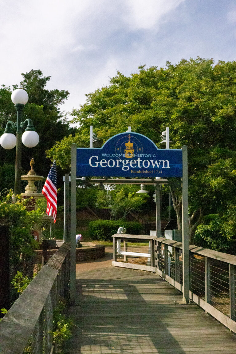 Georgetown Guide Top Things to Do in Georgetown, SC: An Ultimate Travel Guide