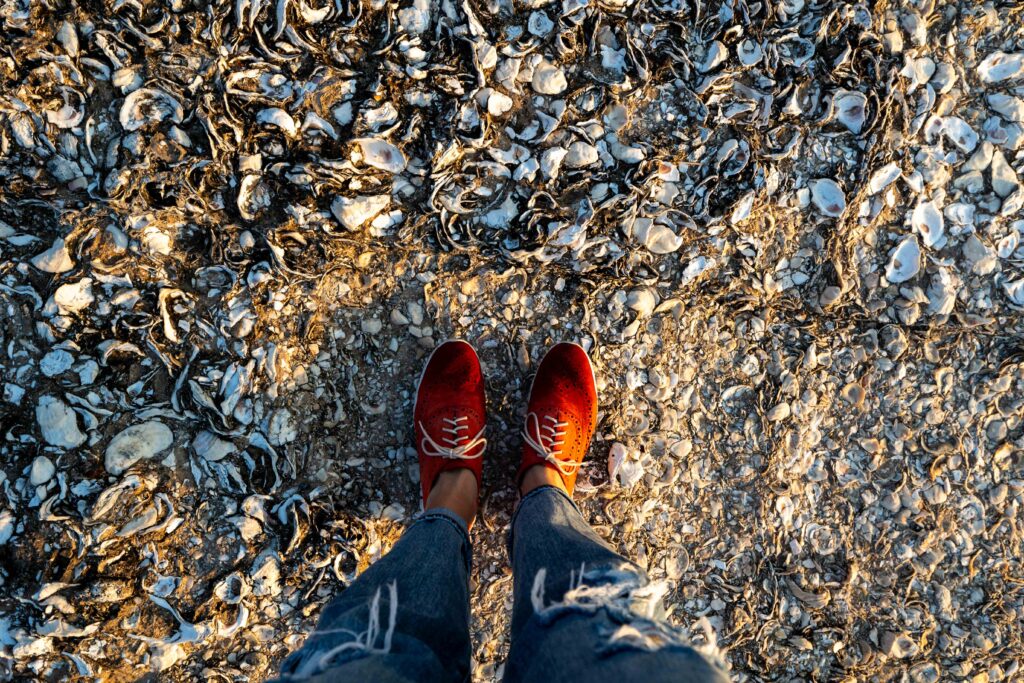 Person wearing red and orange shoes standing on a beach covered densely with shells and shell fragments