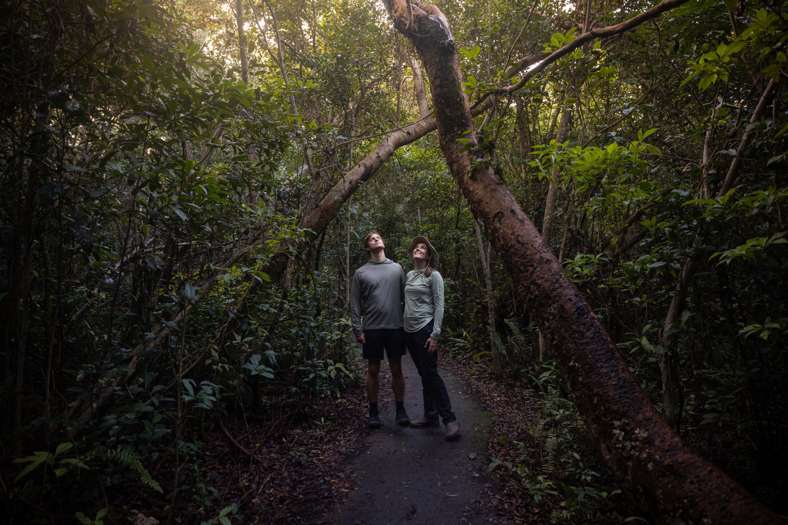 How to See Everglades National Park in One Day: The Perfect Itinerary