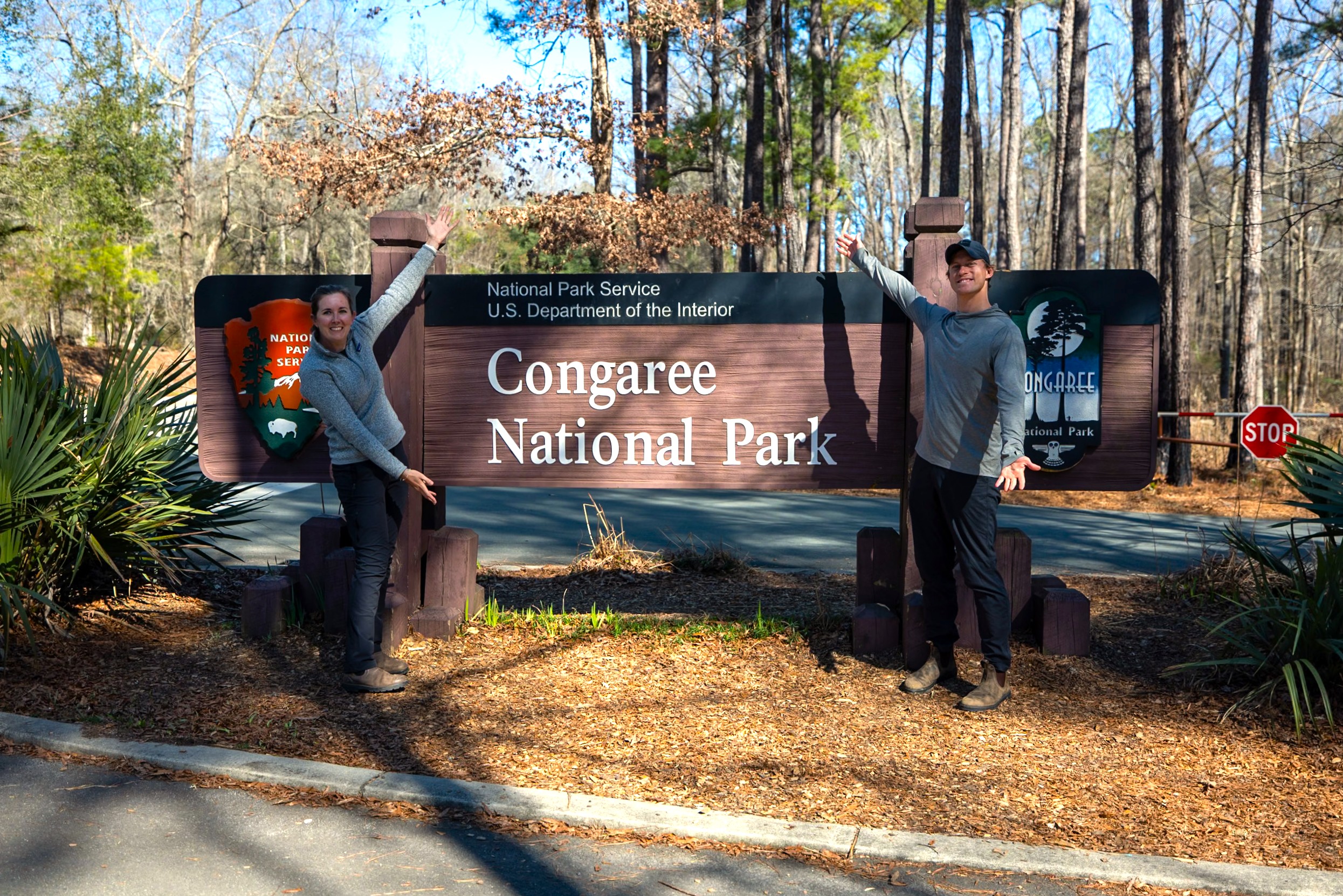 The Most Underrated National Park: Congaree Ultimate Guide