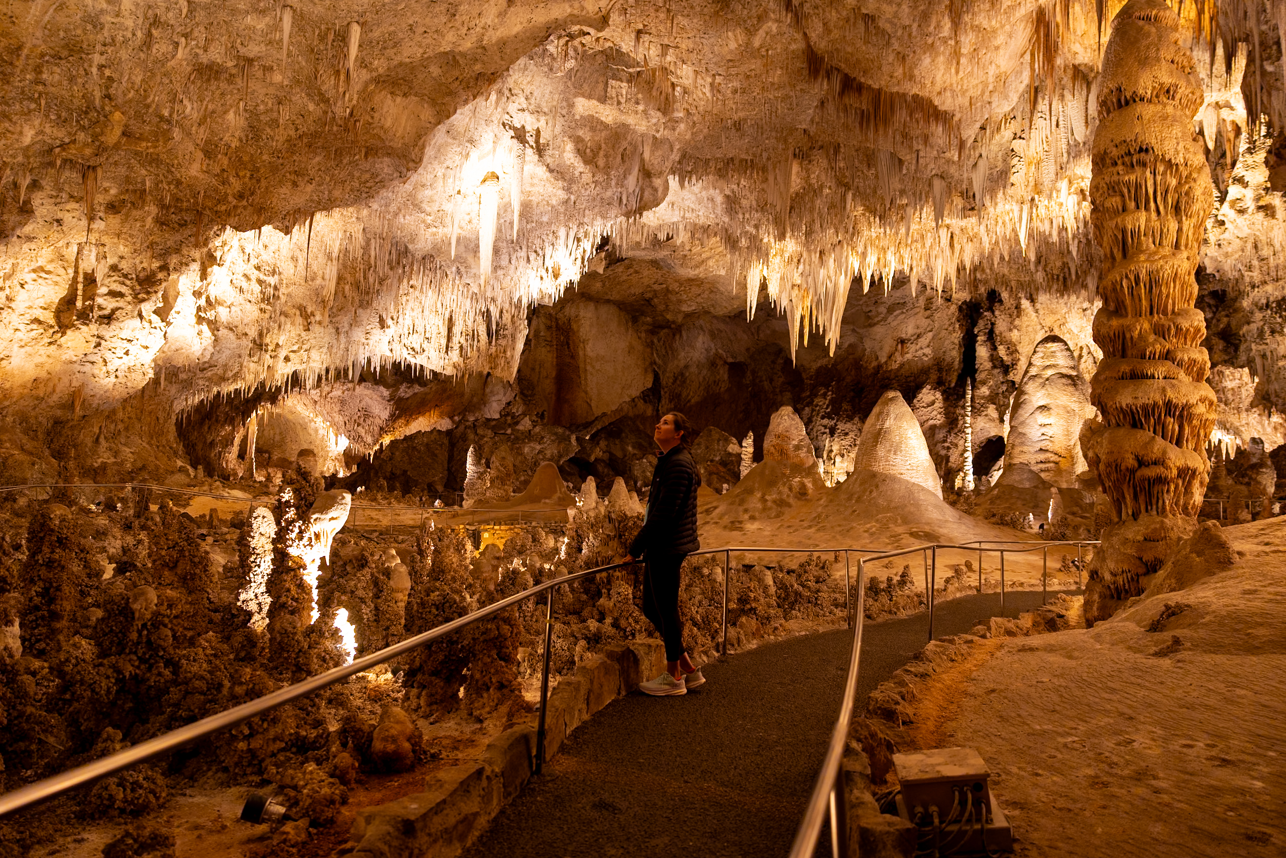 1 Day in Carlsbad Caverns: Itinerary and Ultimate Guide