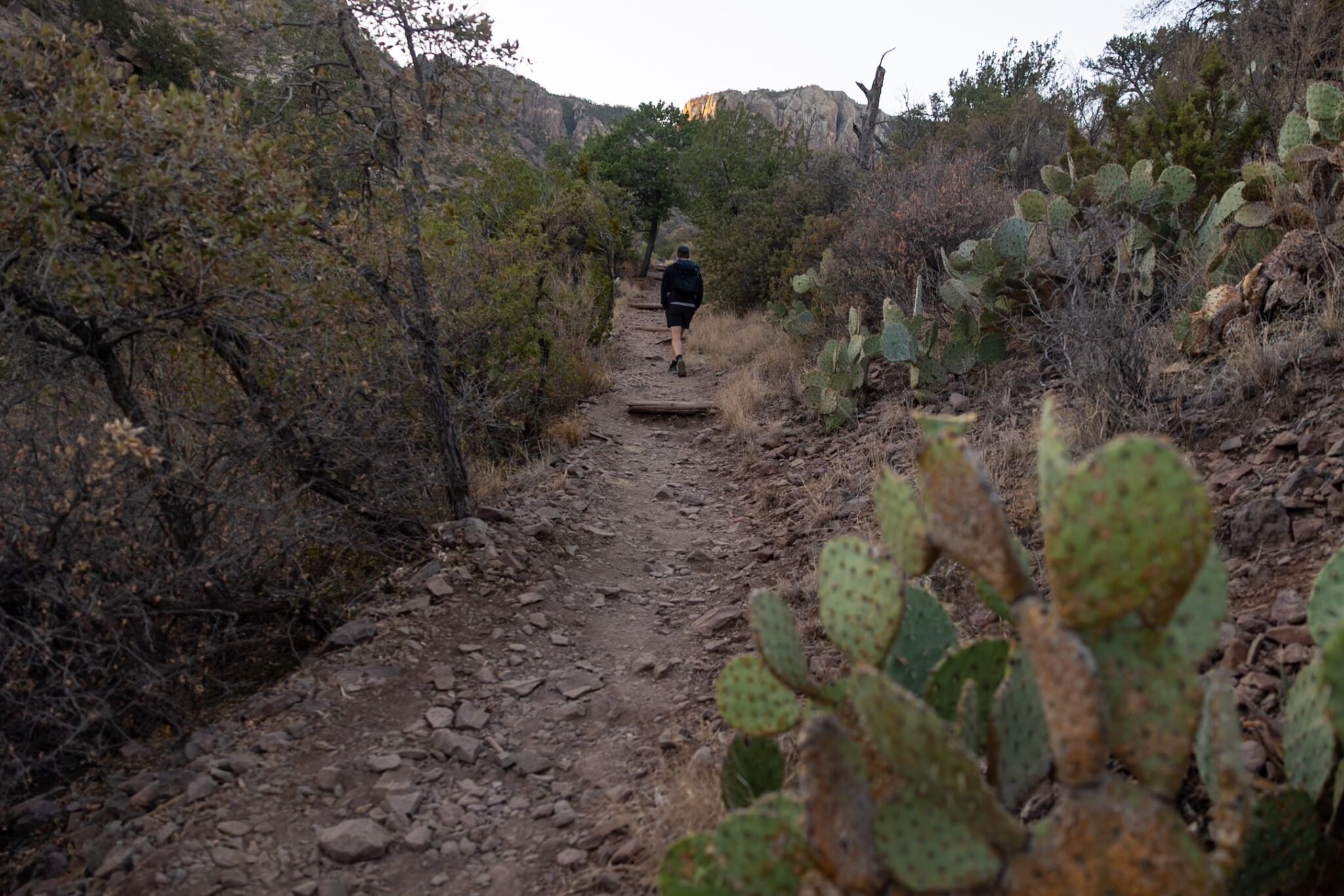 Southern Rim Trail South Rim Trail at Big Bend National Park Hiking Guide | Scho & Jo