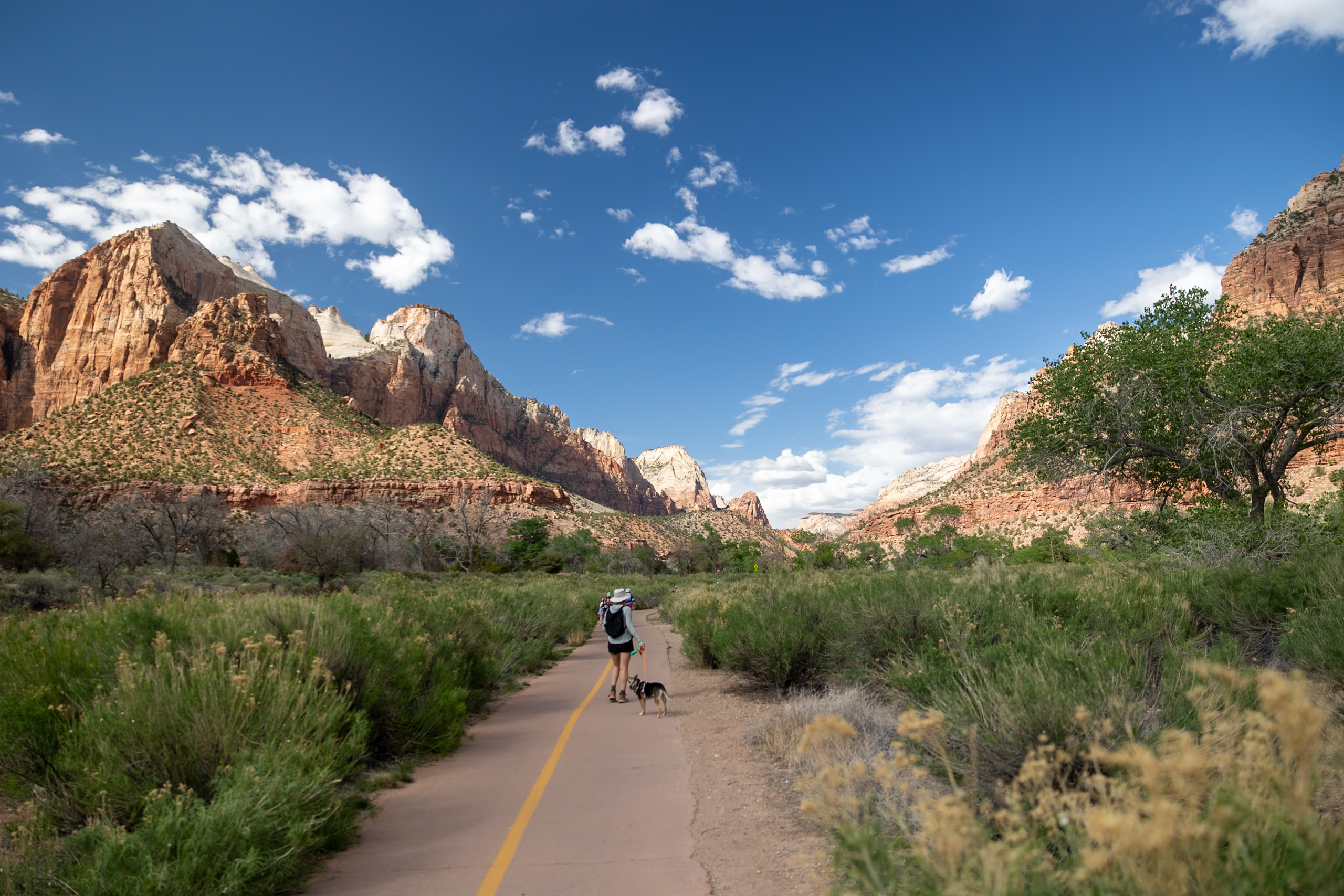 Top 5 Short & Easy Hikes in Zion National Park