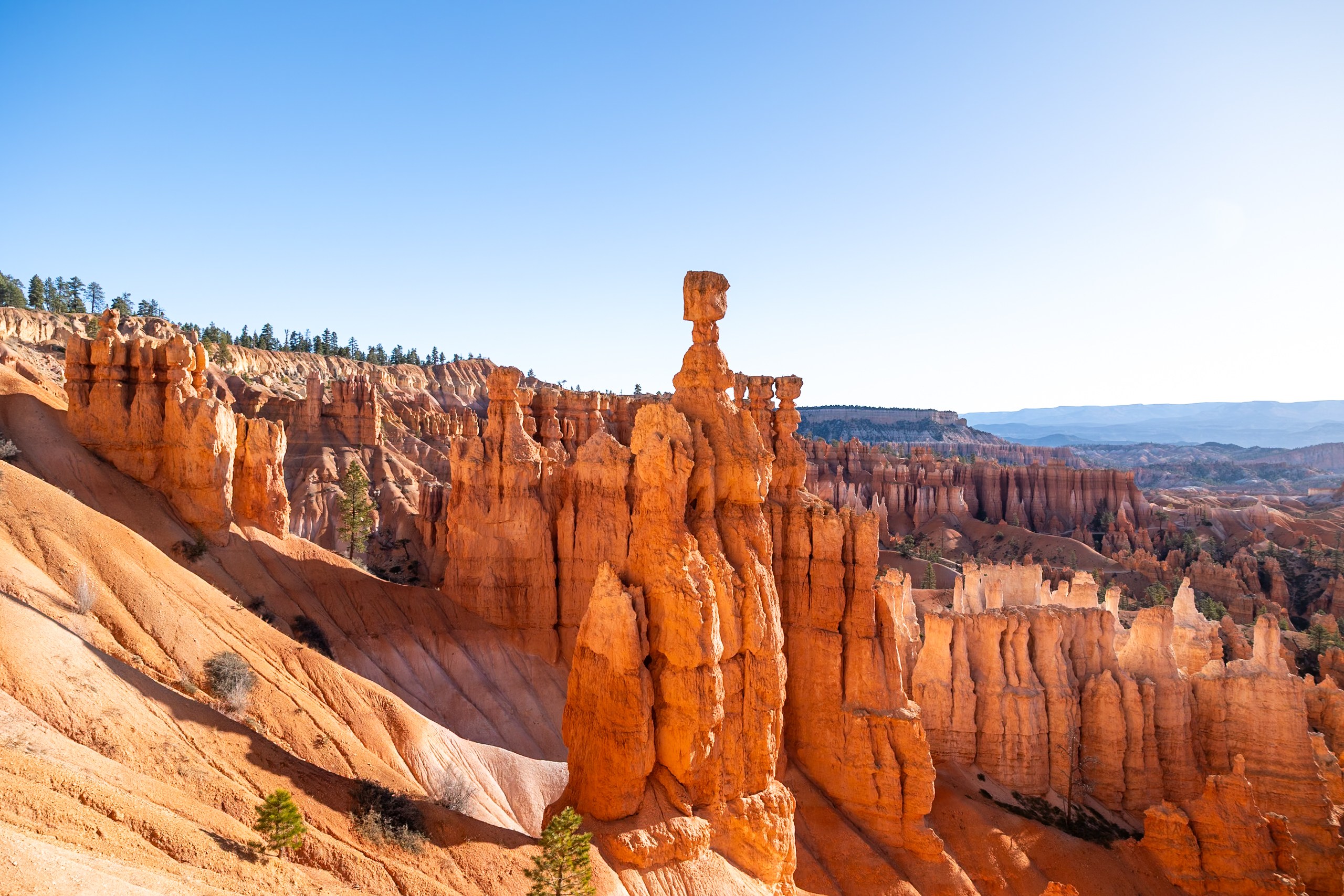 1 Day in Bryce Canyon National Park: Itinerary & Ultimate Guide