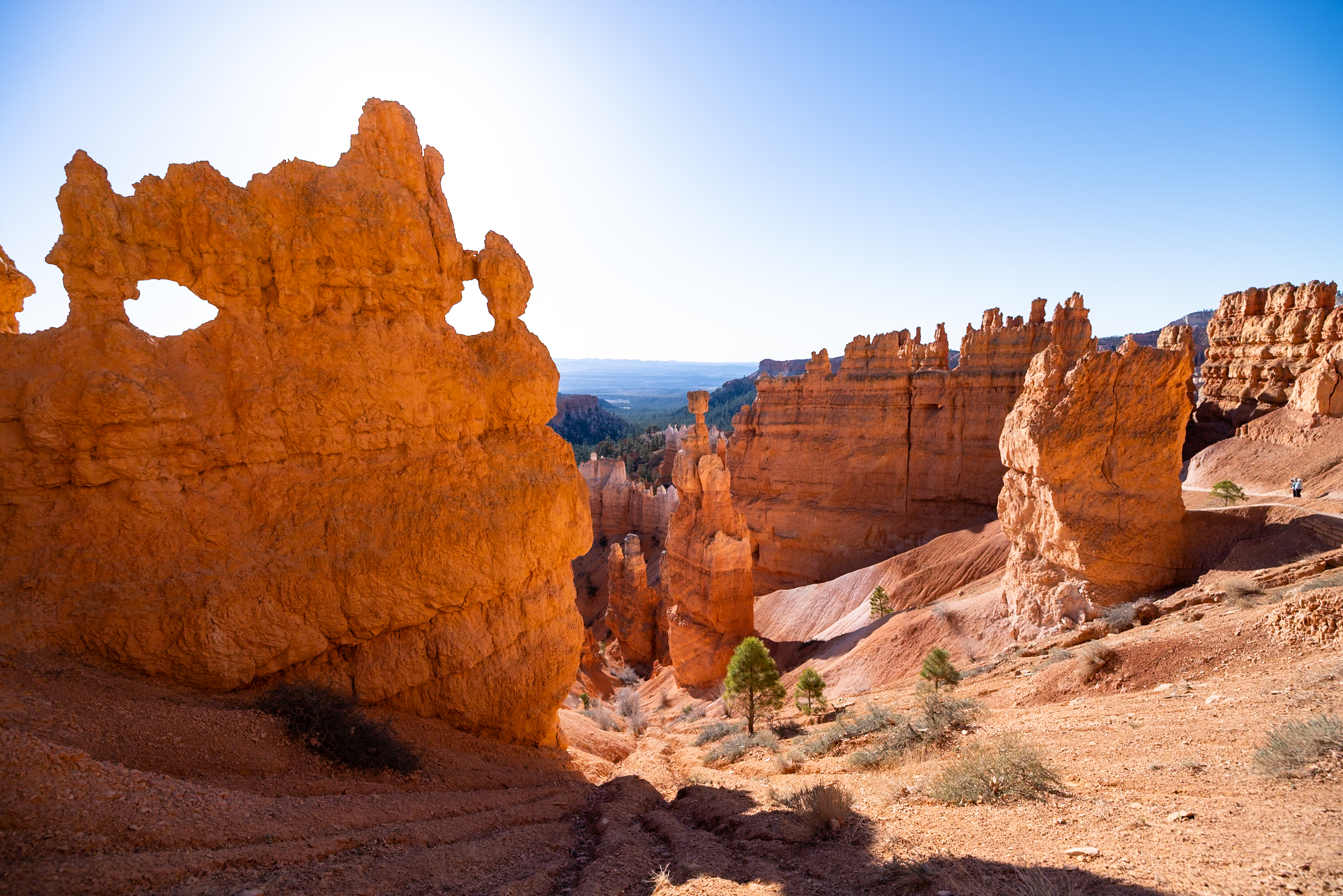 11 Best Hikes in Bryce Canyon National Park in 2025