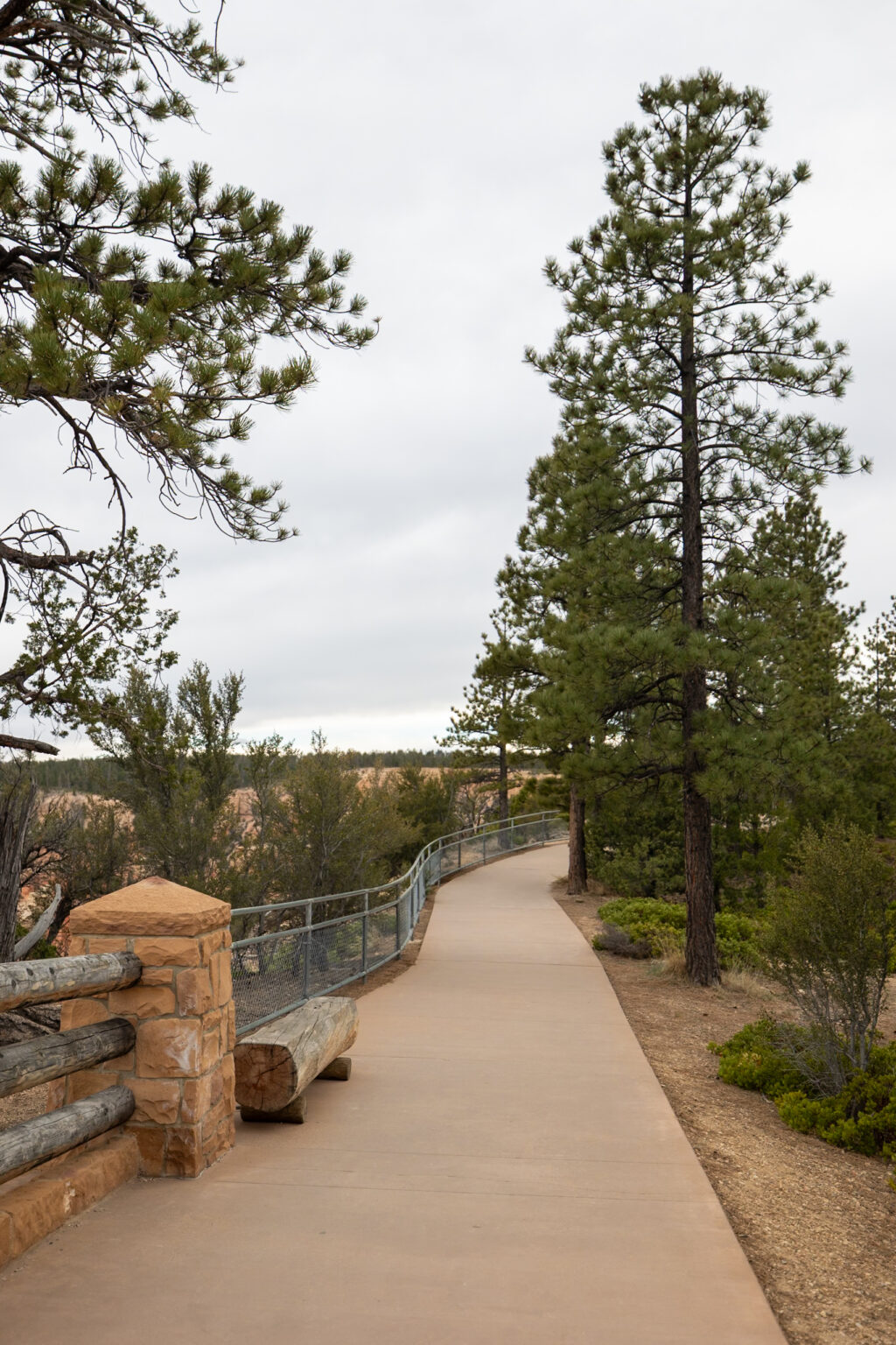 Our 7 Favorite Short and Easy Hikes in Bryce Canyon