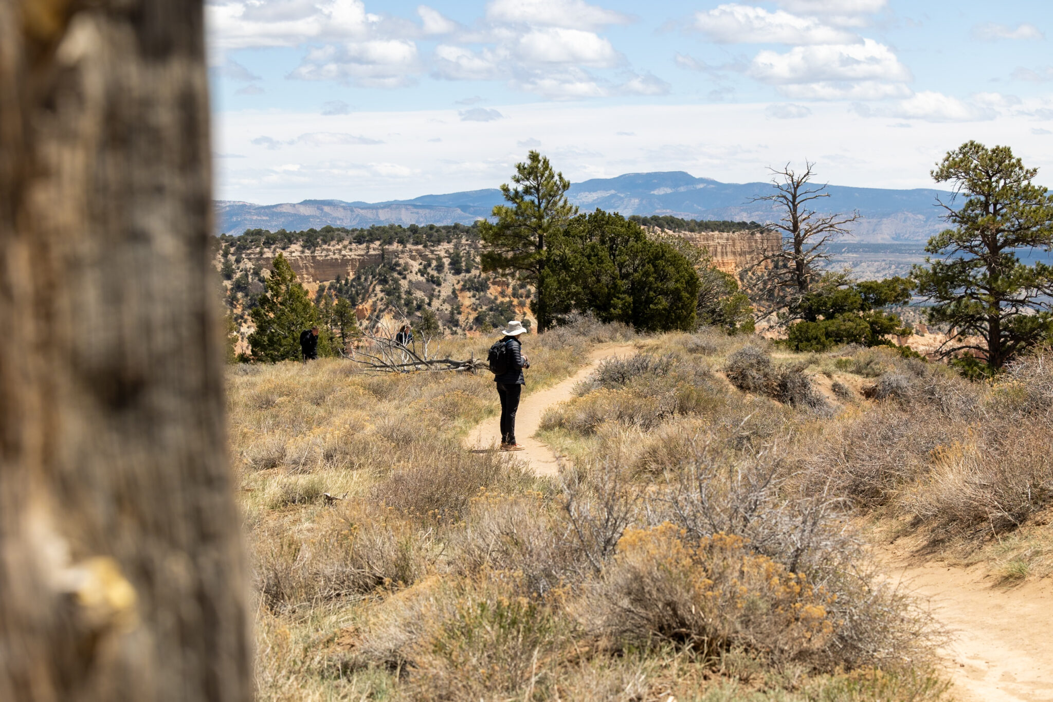 The 7 BEST Short and Easy Hikes in Bryce Canyon