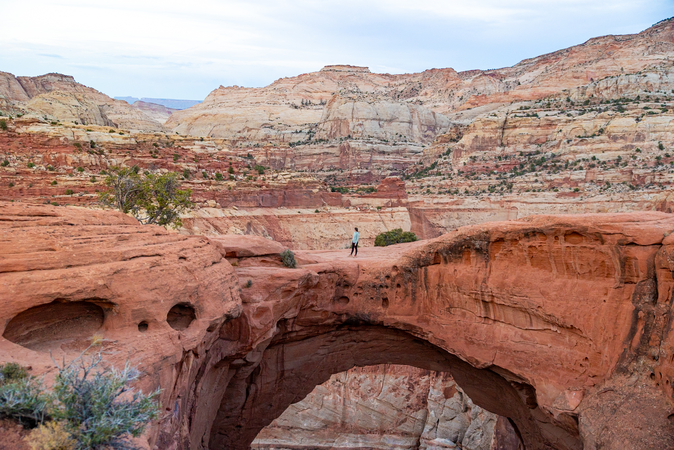 How to Spend 24 Hours in Capitol Reef National Park