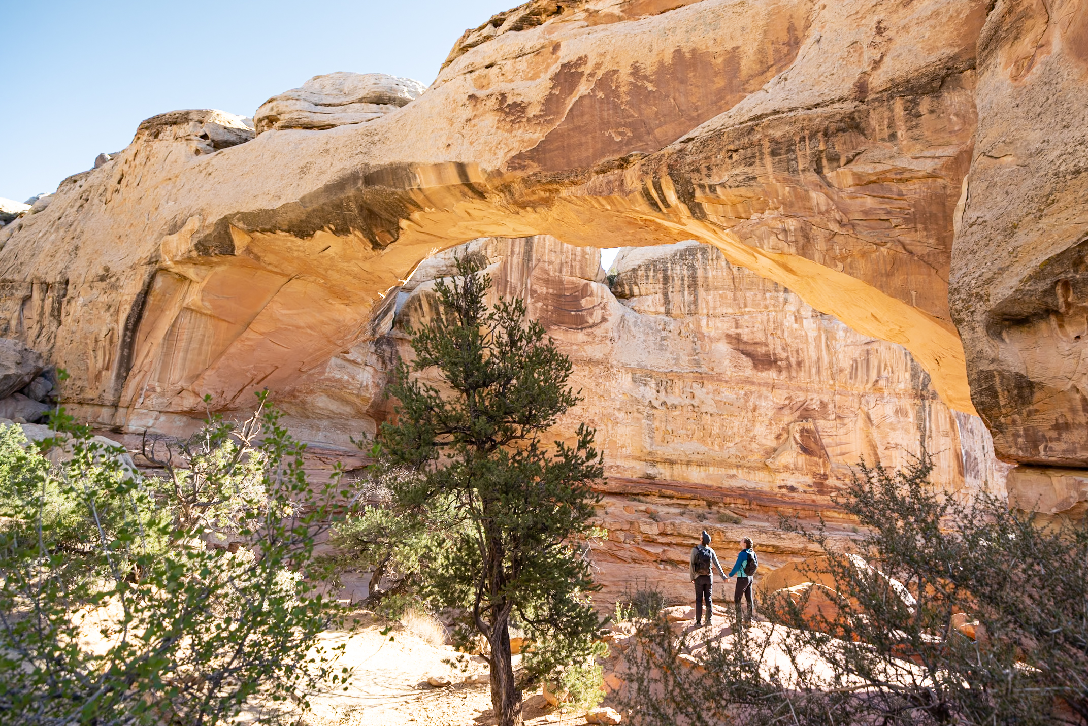 11 Extraordinary Hikes in Capitol Reef National Park
